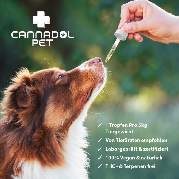 CANNA-PET-DOG-3.jpg Cannadol CBD Öl Pet Hund 10%
