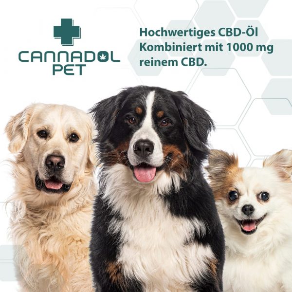 CANNA-PET-DOG-4.jpg Cannadol CBD Öl Pet Hund 10%