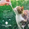 CANNA-PET-KAT-3.jpg Cannadol CBD Öl Pet Katze 3%
