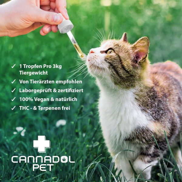 CANNA-PET-KAT-3.jpg Cannadol CBD Öl Pet Katze 3%