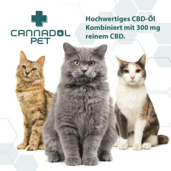 CANNA-PET-KAT-4.jpg Cannadol CBD Öl Pet Katze 3%